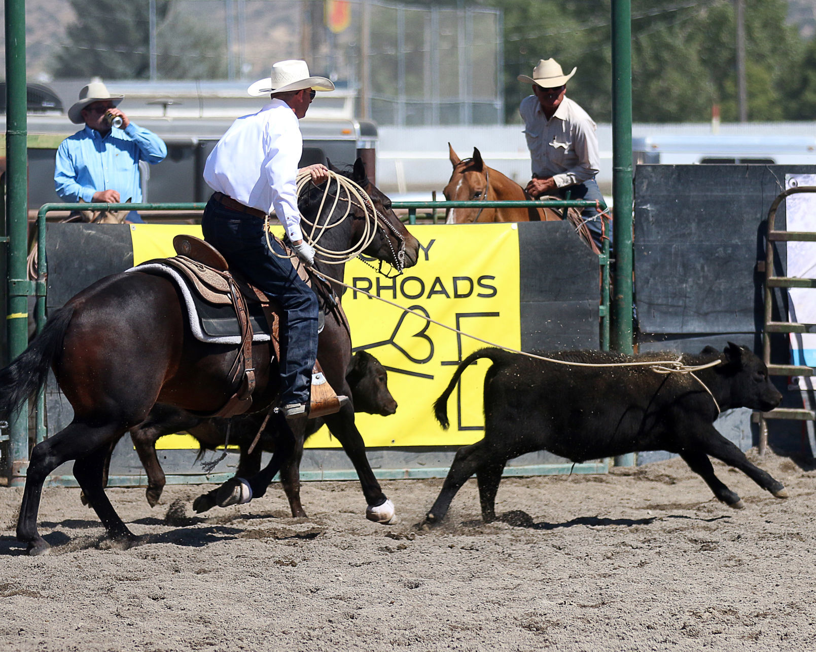 2018 Elko County Fair Open Branding Finals (33).JPG